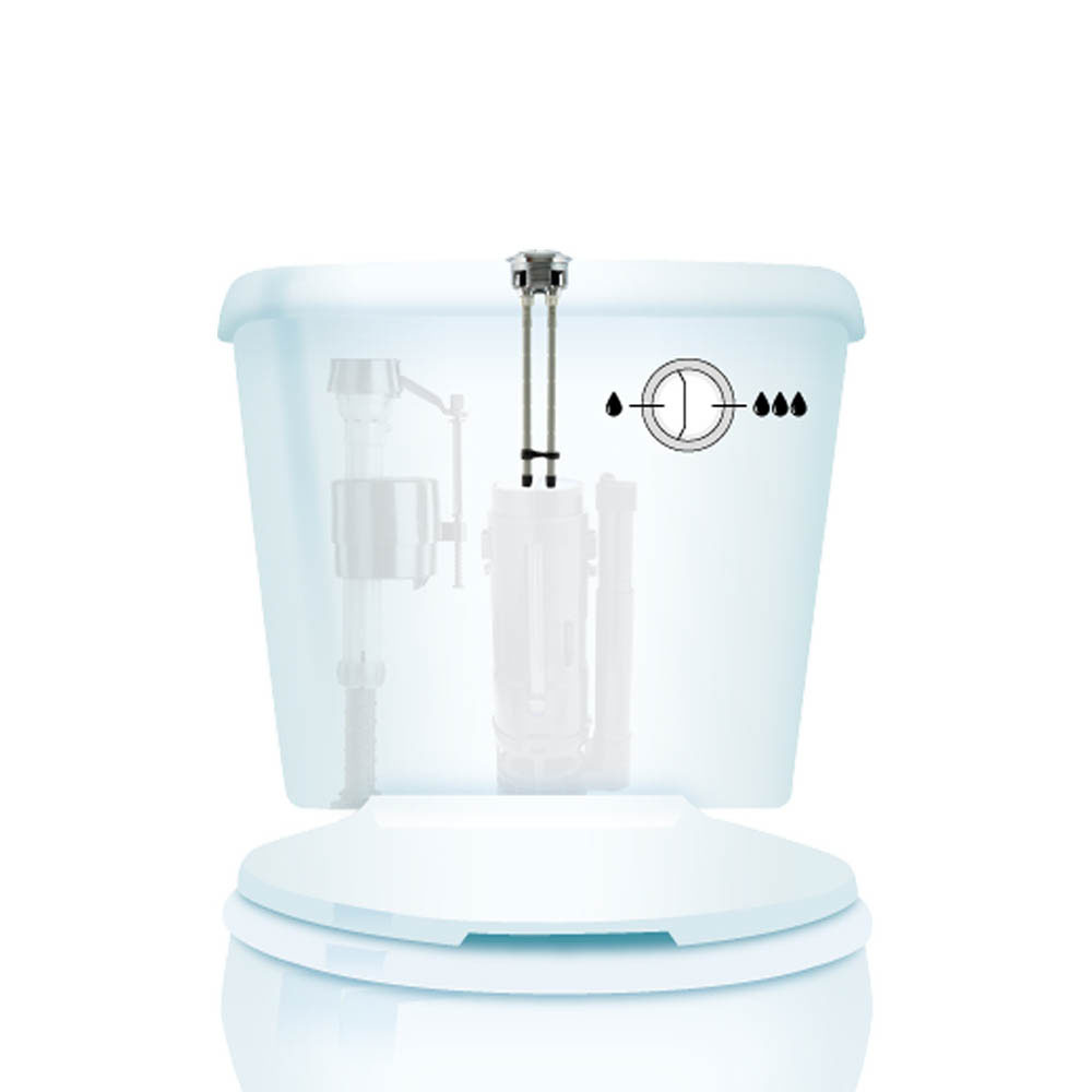 Botón 800P-48 - Imagen 2